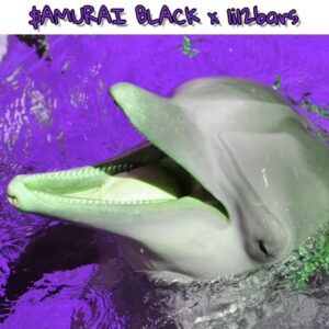 Dolphin (feat. Lil2Bars)