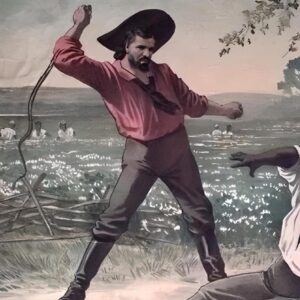 BBL COLONIZER DRIZZY