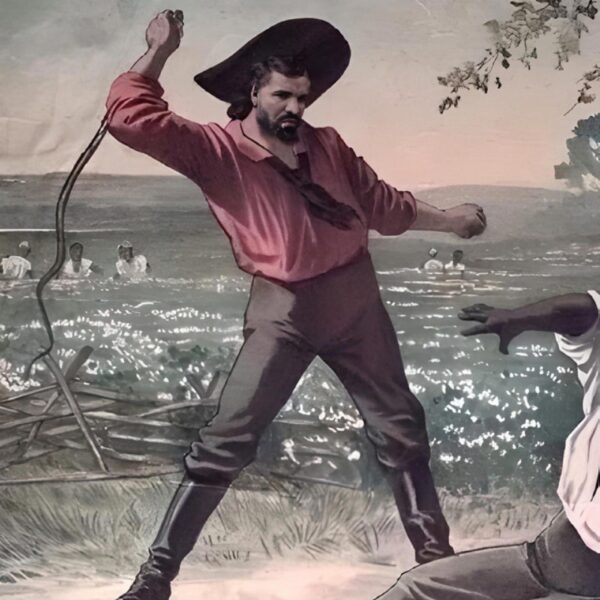 BBL COLONIZER DRIZZY